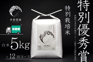 【 一括支払で送料がお得】【定期便 5kg×1袋 12回コース 】茅野農園 特別栽培米 コシヒカリ 5kg 減農薬 化学肥料(窒素成分)不使用 【10/18まで限定商品】