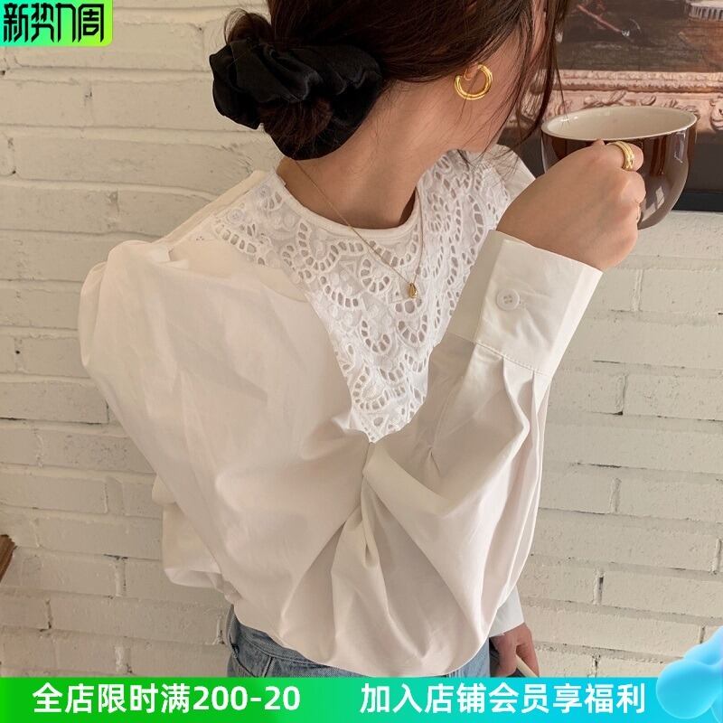 レーススリーブソリッド カラー長袖シャツ トップス レディース ロング ソリッドカラー ビッグFスモールZ韓国57898875354