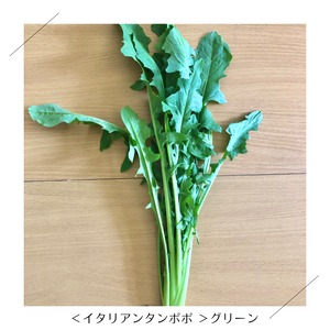 ＜クール便・火曜日発送＞【小さいサイズ】季節のお野菜セット