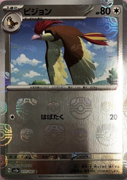 【美品】ピジョン(マスターボールC)