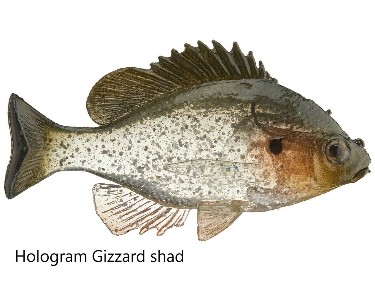 ハドルストン/ハドルトラウト 8