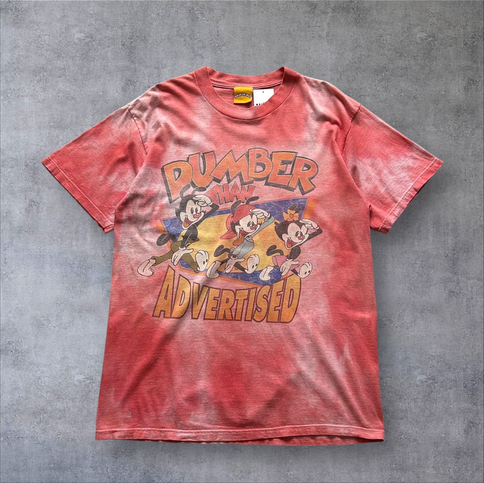 1994s ANIMANIACS T-shirt【高円寺店】
