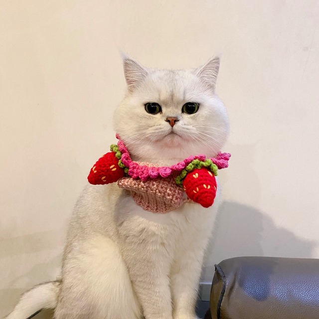 ニットストロベリーハット from GULUSHOP 猫 帽子