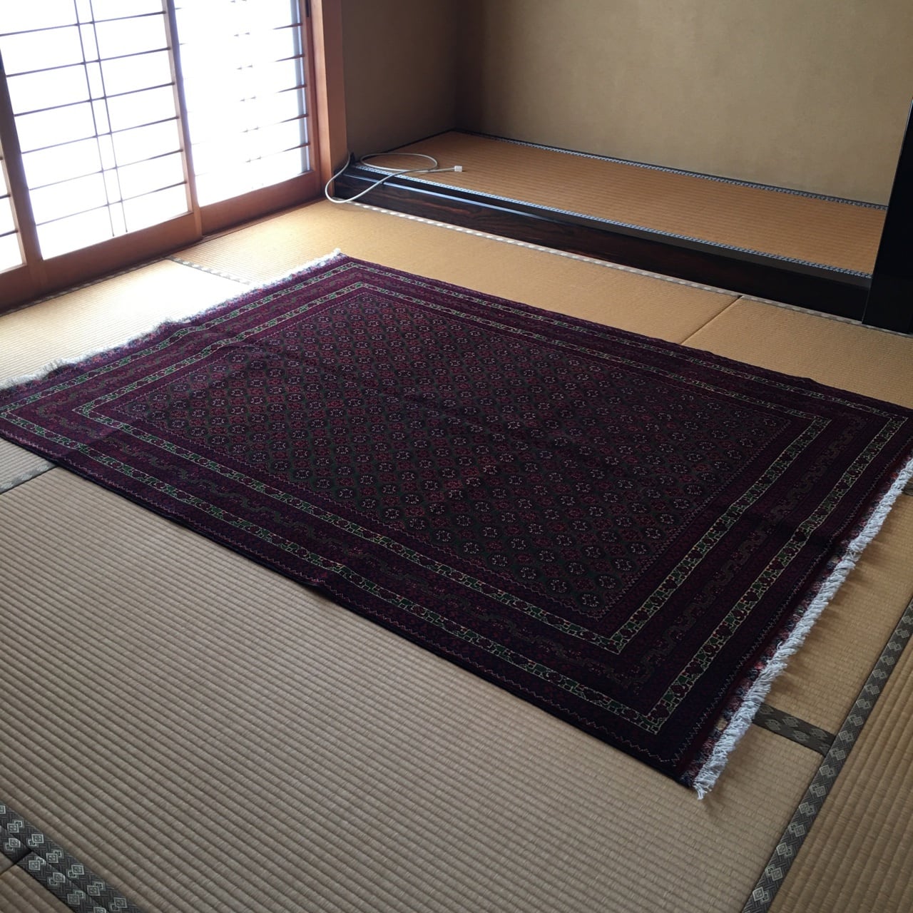 アフガニスタン絨毯：新品 日本初登場の新色！エメラルドグリーンの ...