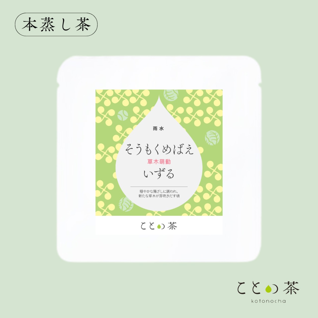 〈雨水〉 ことの茶　玉露白折、玉緑茶、本蒸し茶