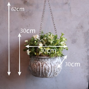 寄せ植え　ペチュニアロイヤルミルクティの寄せ植え｜届いてすぐ飾れる完成品｜玄関にオススメ｜新築・開店祝いギフト｜モンディマンシェ