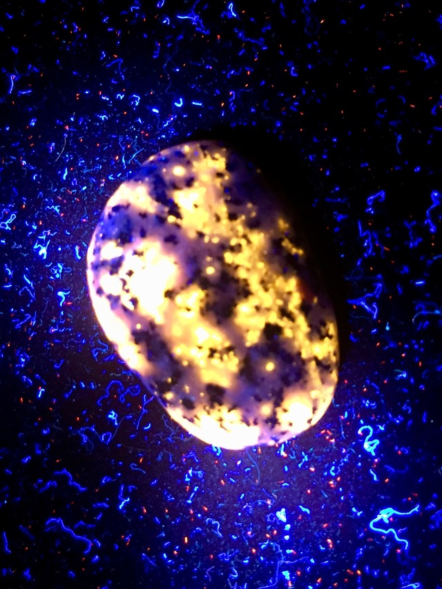 66) ユーパーライト