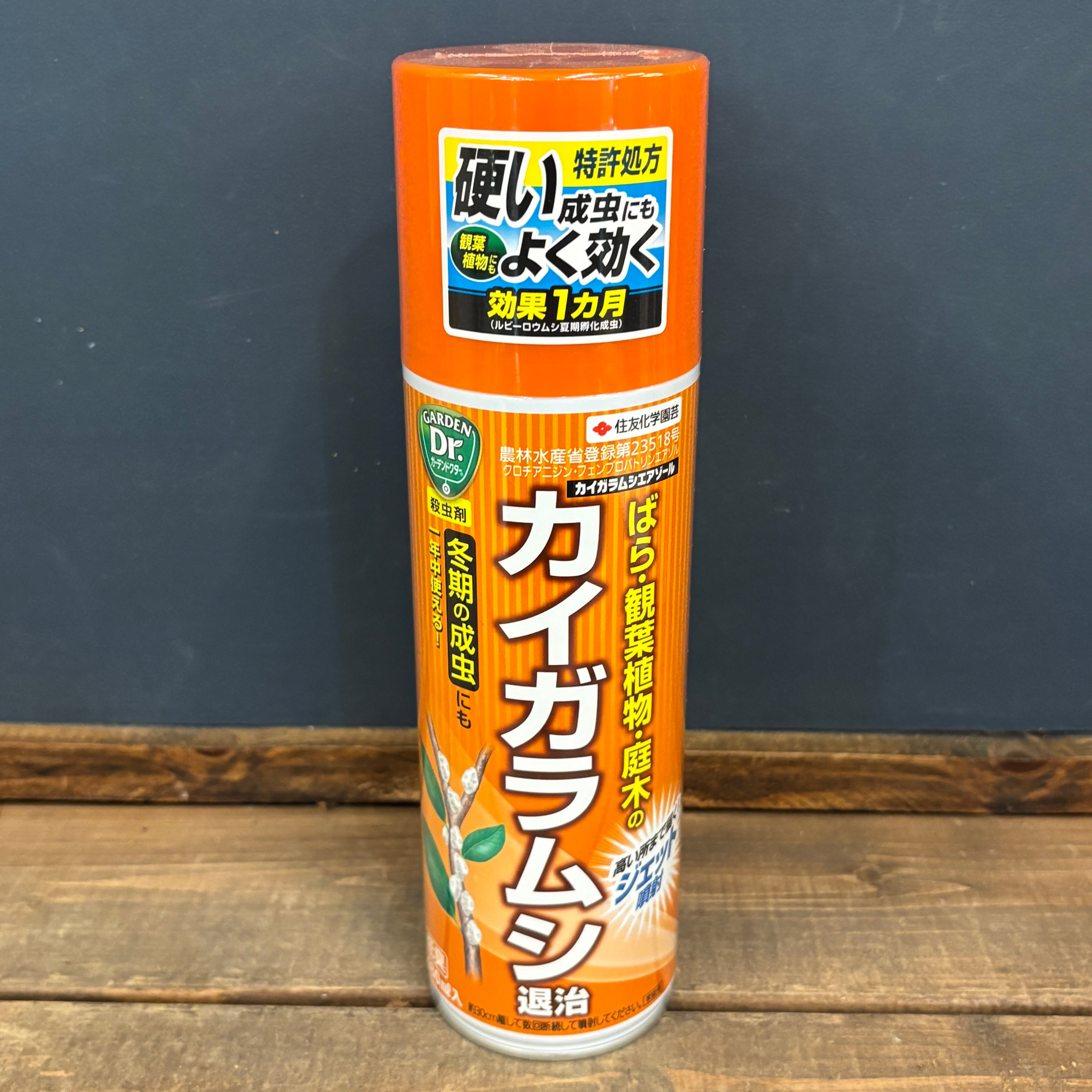 ｶｲｶﾞﾗﾑｼｴｱｿﾞｰﾙ 480ml | PROTOLEAF プロトリーフ