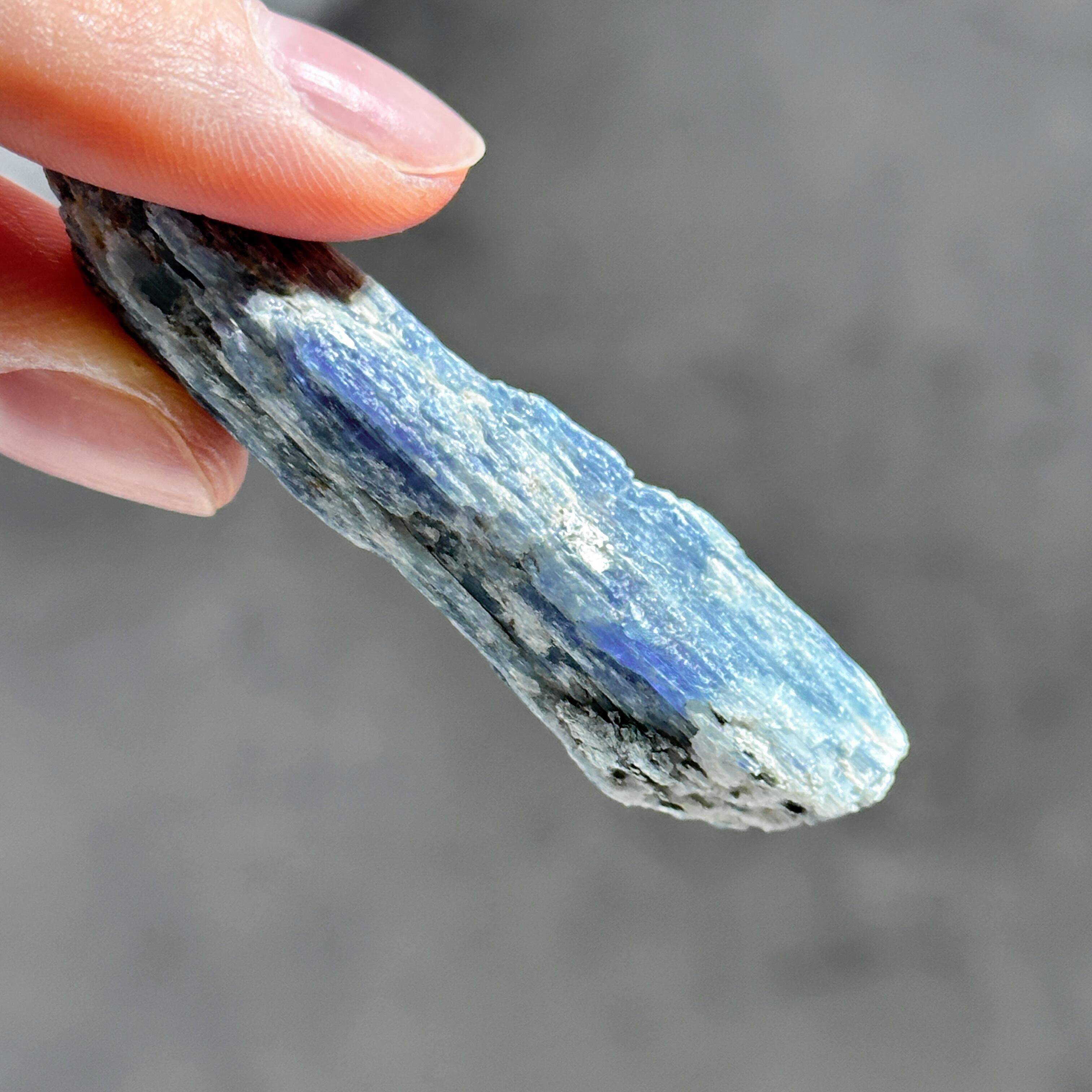 カイヤナイト 原石62◇ Kyanite ◇天然石・鉱物・パワーストーン