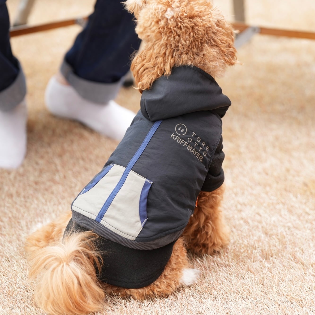 DOGひっくりベスト（BLACK） | 38explore