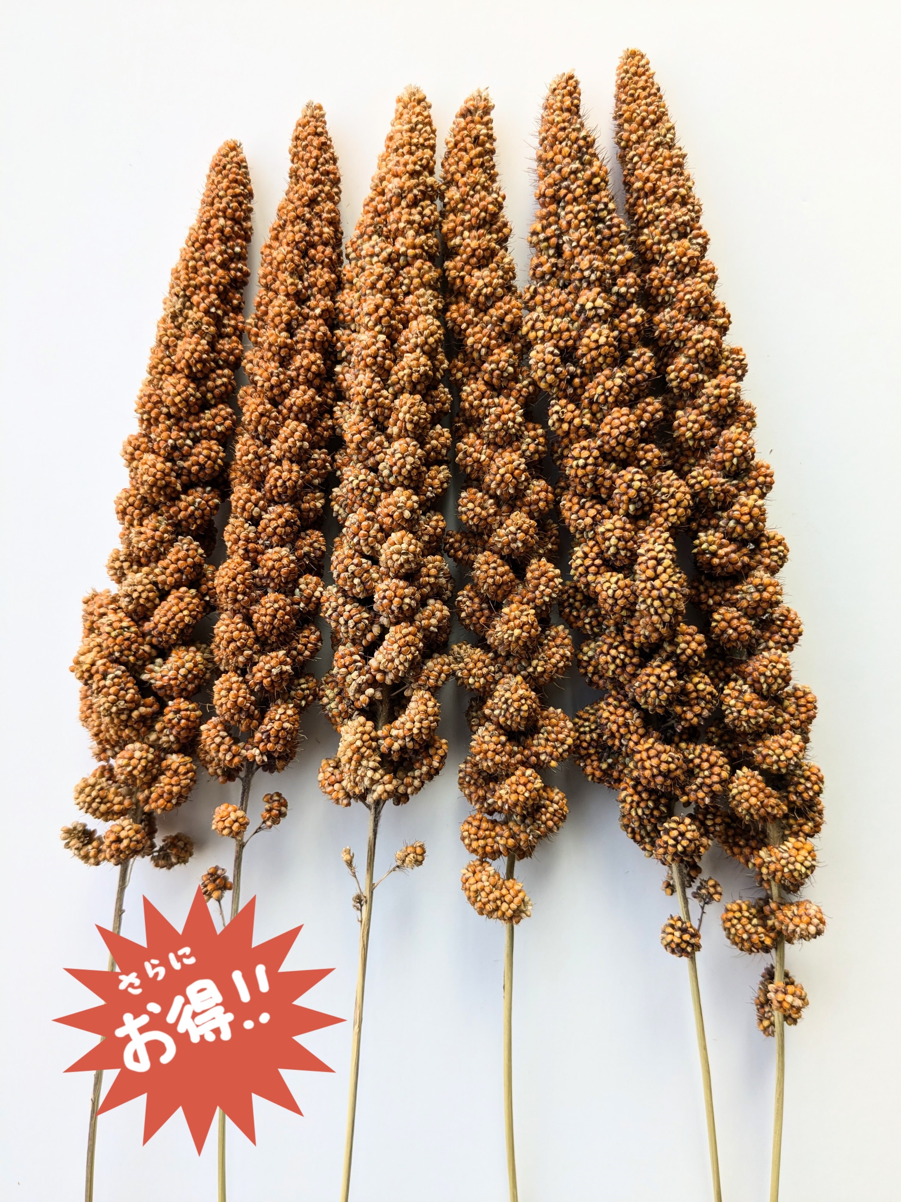 d1e20e323a9625e1529f8af308a80b