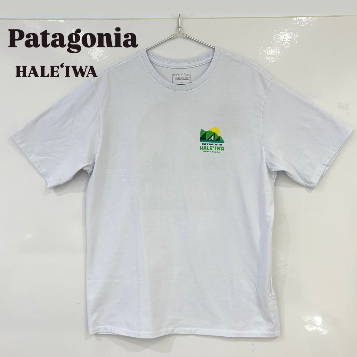 Patagonia HALE'IWA】【ハワイ限定】 希少 Patagonia HAWAII ハレイワ