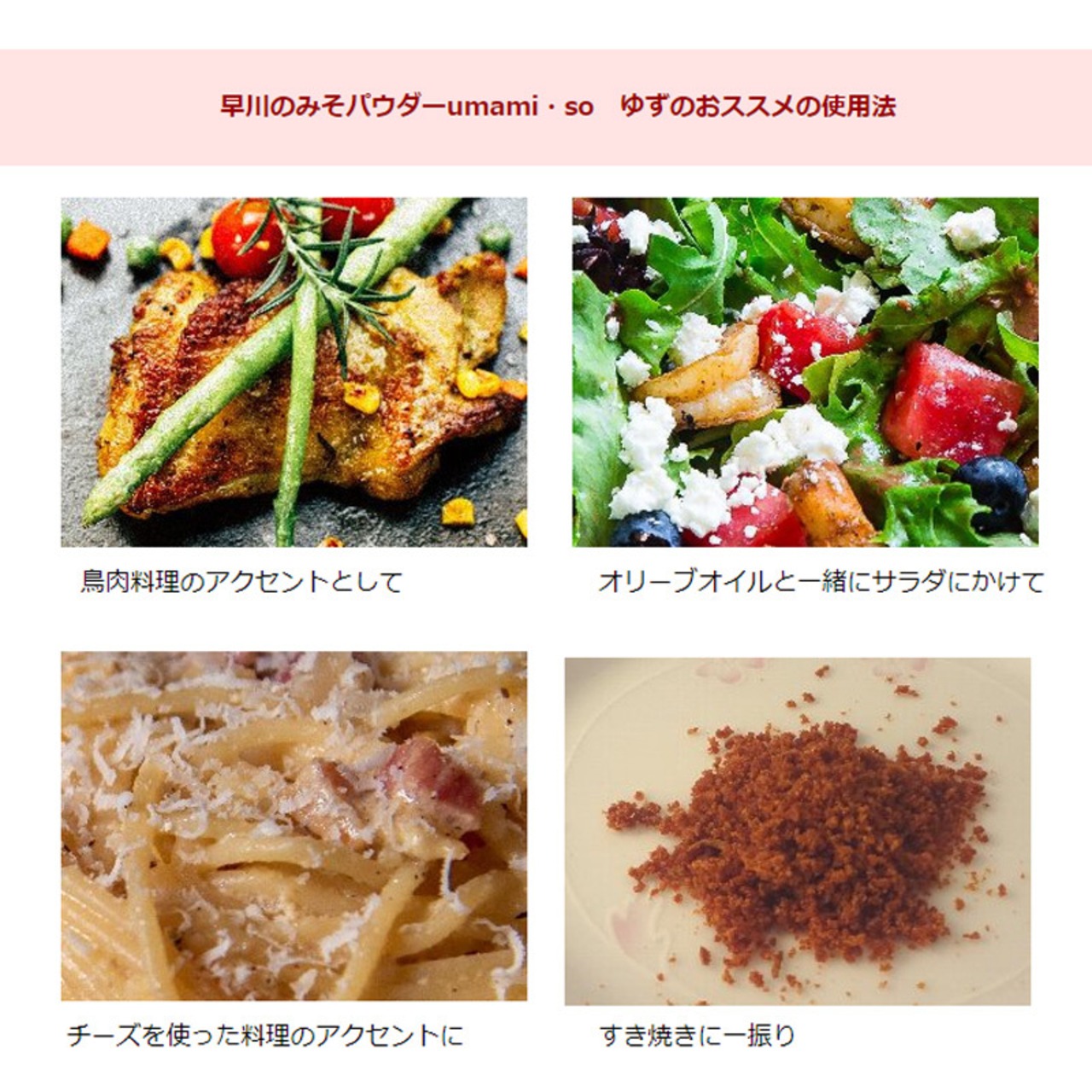 早川しょうゆみそ  早川のみそパウダー umami・so -柚子- ゆず 70g 3本セット 乾燥味噌