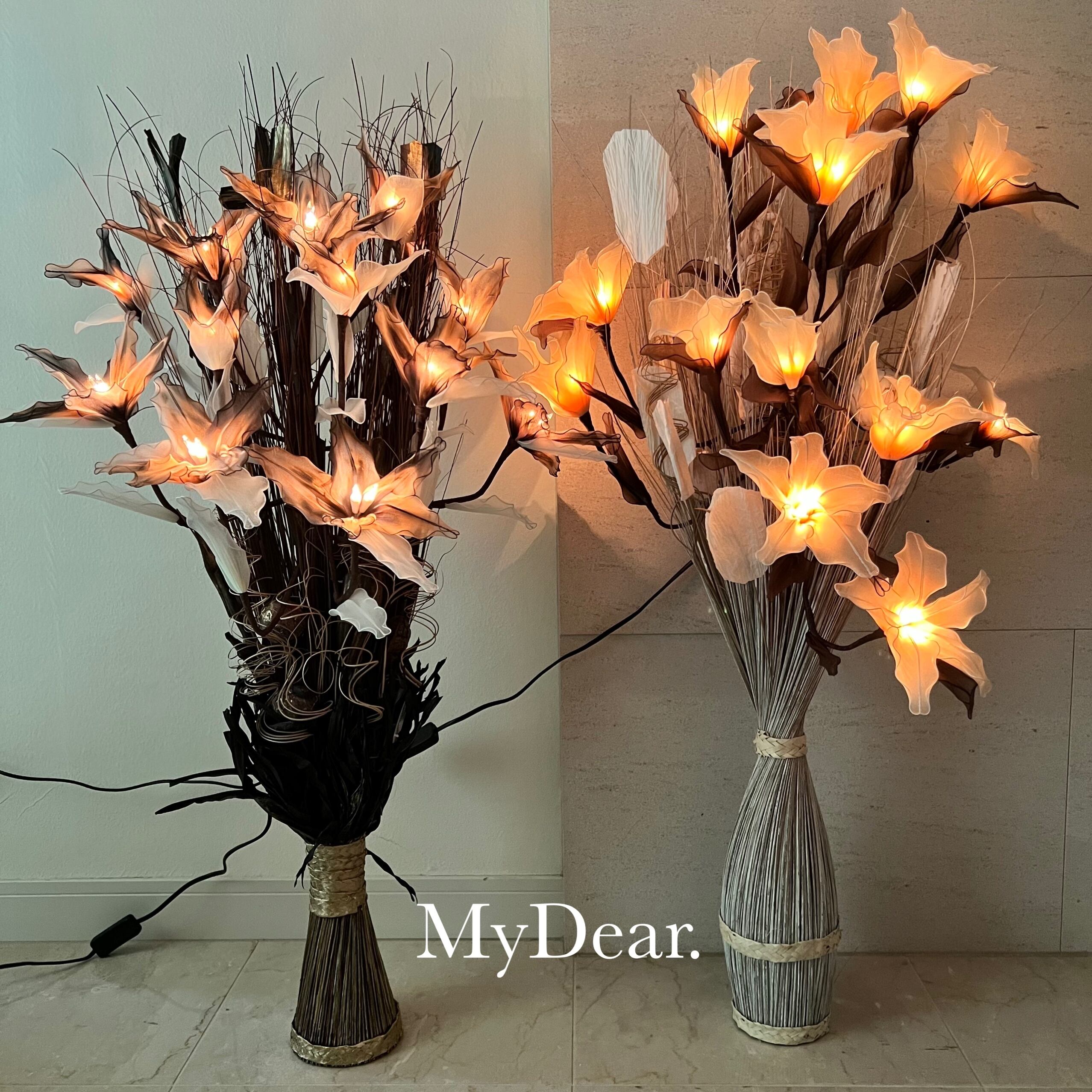 d1e6f82016d16bc44b91de7849edfd  