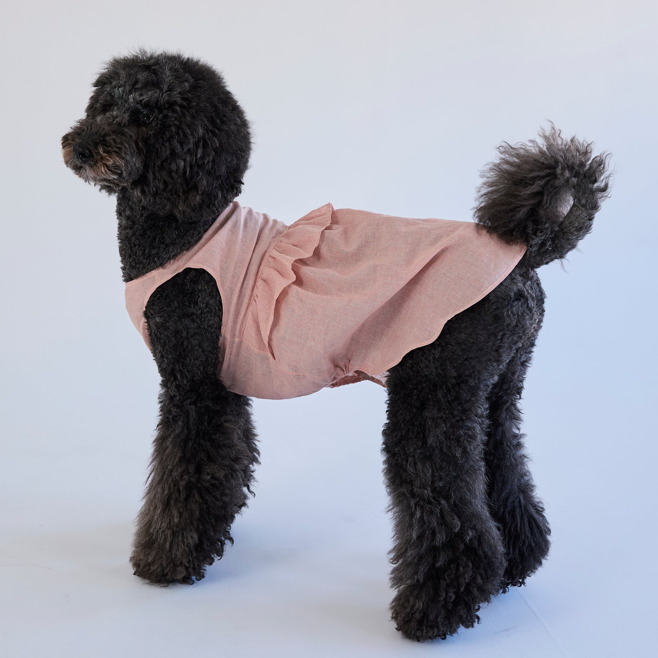 265513大型犬サイズ】ワンピース | 犬服ブランド 2e deuxieme cale