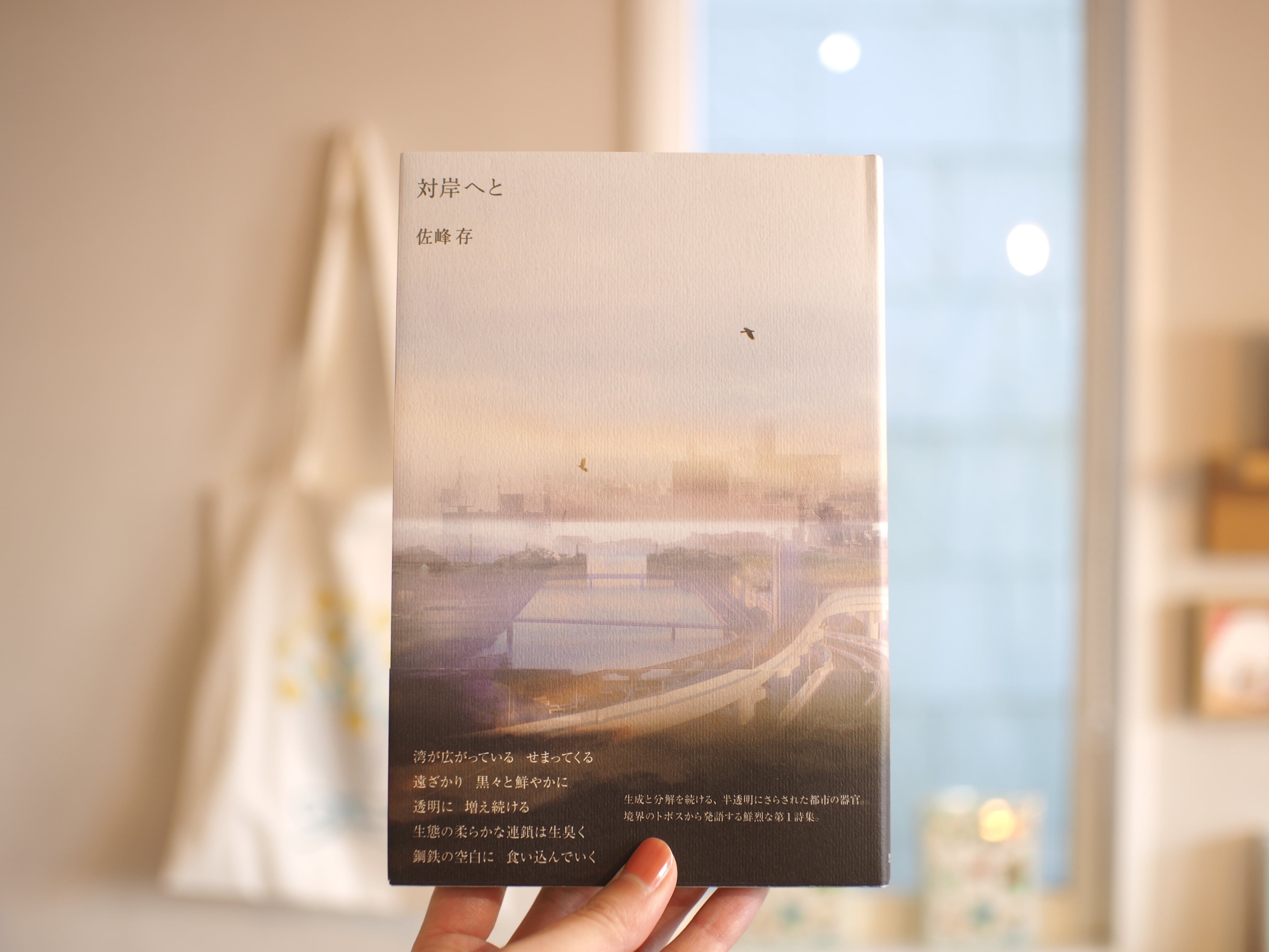 サイン本】メキシコ / 三角みづ紀 | 本屋ブーケ