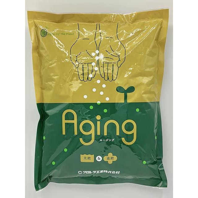 コミフォラ カタフ 種子 10粒 Commiphora Kataf | Pay ID