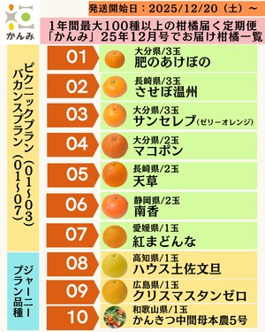 【100種類お届け保証付き】かんみジャーニープラン（12ヶ月柑橘お届けセット）