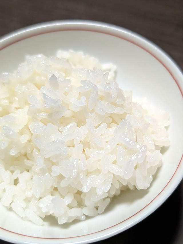 新米『とちぎの星』【白米・無洗米】内容量10kg・送料無料
