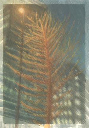 竹浪音羽｜背骨