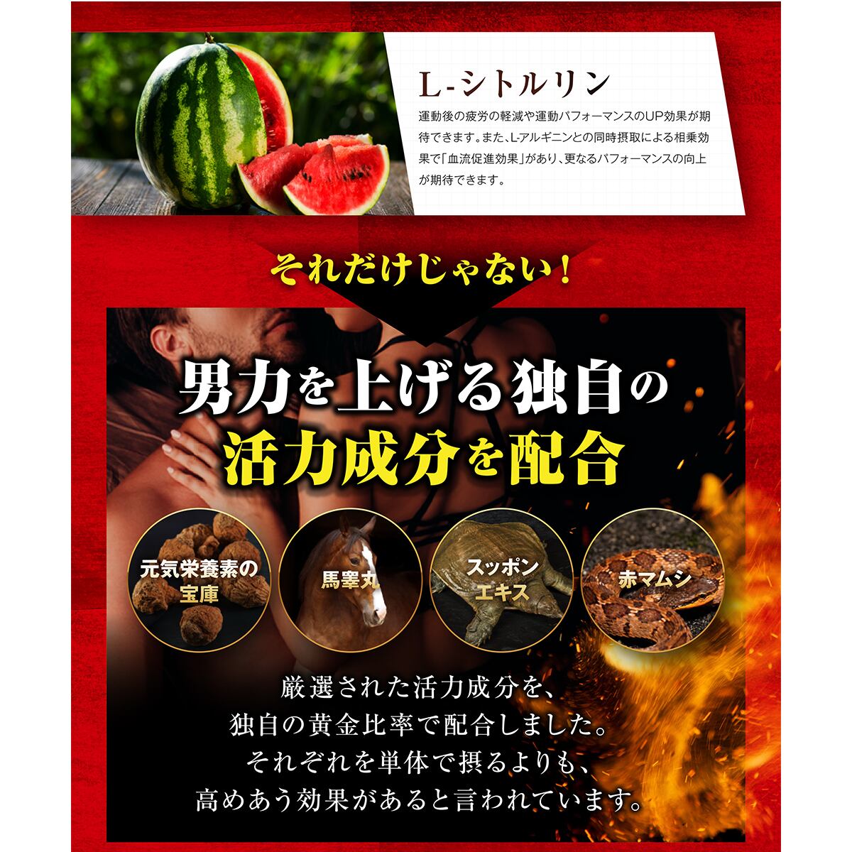 【太く強く】女性が求める最強のボディー【ストロングHMB】 気力 活力 男力 バルクアップ 理想の体 ダイエット 徹底サポート 1日1粒飲むだけでOK ボディーメイク サプリ!しっかりサポート（大容量３ヶ月分）