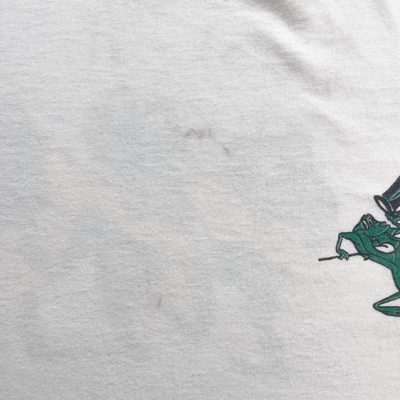 90年代 USA製 FROG FEST 97 カエル ヴィンテージTシャツ アニマルT