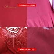 社交ダンス 衣装 prima boutique プリマブティック ドレス ワンピース レッスンウェア レッド系 ラインストーン 伸縮 ストレッチ 練習 レッスン キラキラ シンプル アシンメトリー おしゃれ 赤 落ち着いた色 イチオク かわいい シルバー系