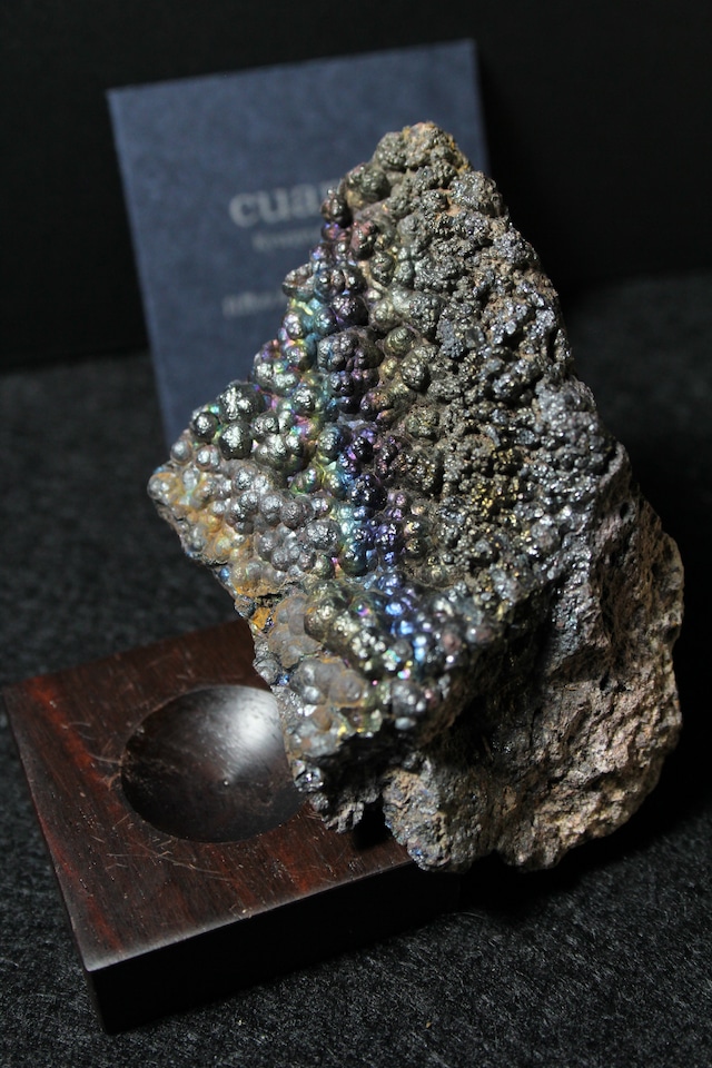 【eb001】宮崎レインボー ローズウッドベース大