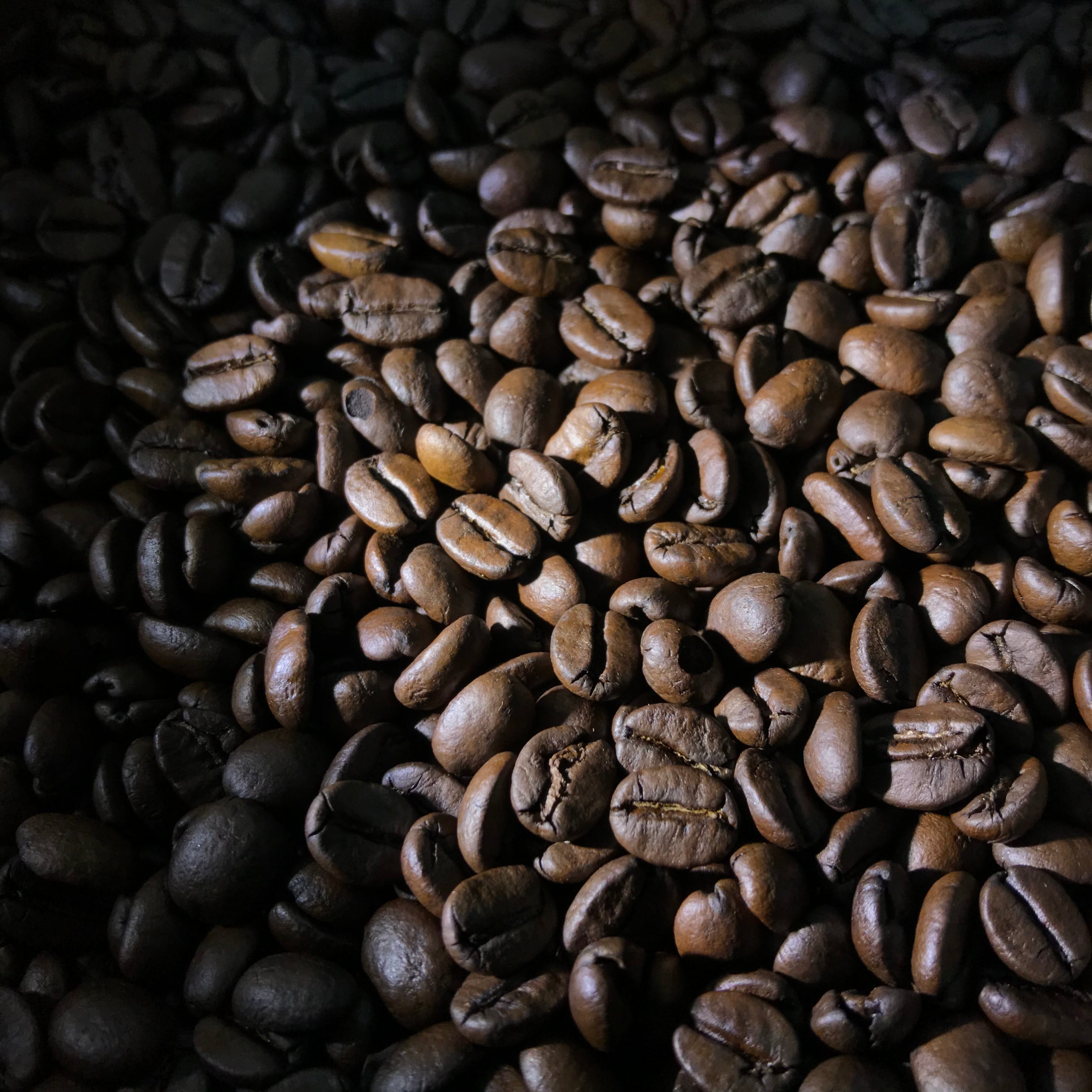 【ブラジル】プレミアムショコラ ［200g］中深煎り 自家焙煎珈琲