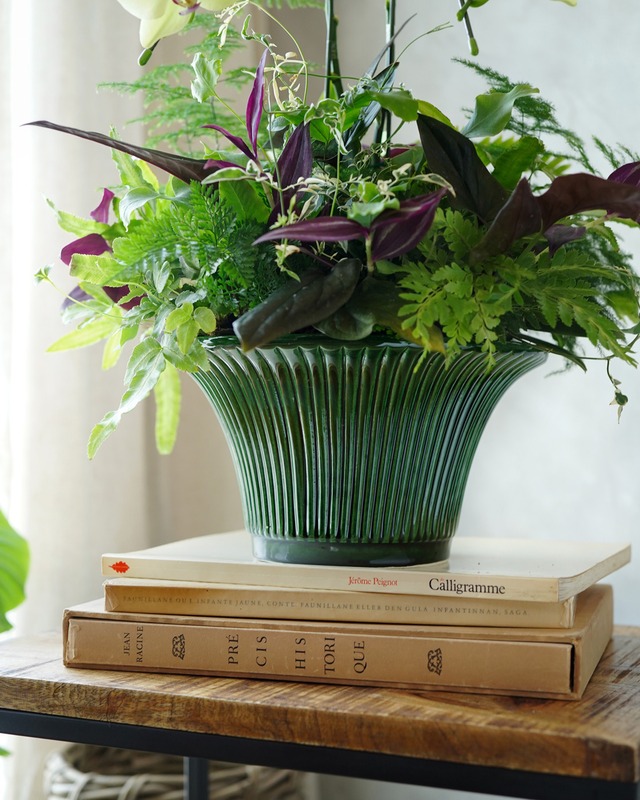 再入荷 【Bergs Potter】デイジー Ø25cm　グリーン【バーグスポッター】