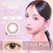 【度なし】アイジェニック《ココプラム》/ EYEGENIC《Coco Plum》[2枚入り]