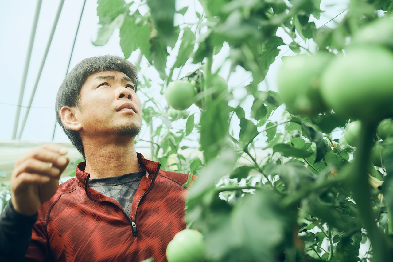【野菜セット15品目】おまかせ詰め合わせ