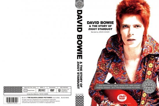 DAVID BOWIE & THE STORY OF ZIGGY STARDUST (1DVDR) | BEATNIK GROOVE