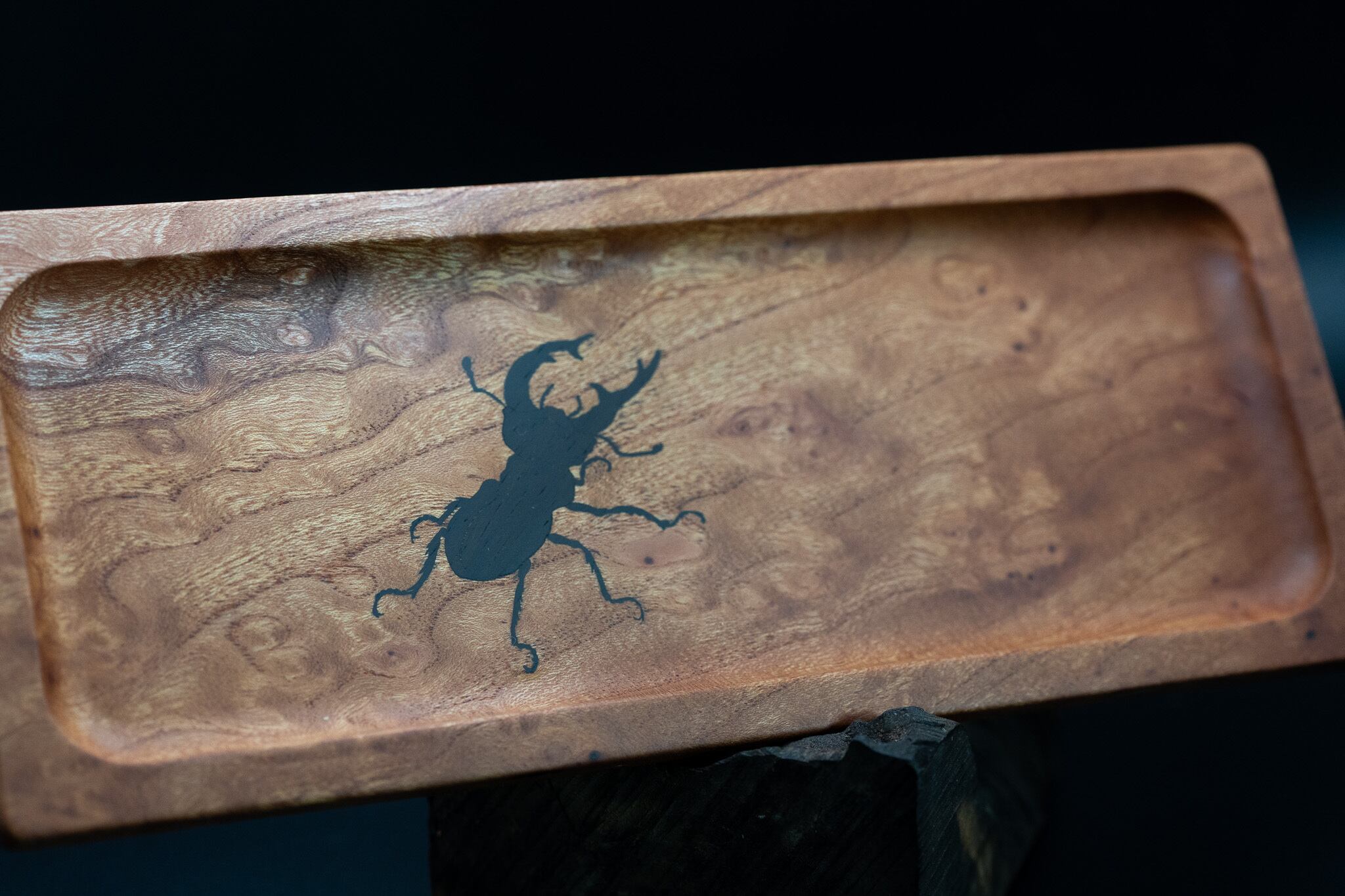 【日本を代表する巨木】欅 (ケヤキ) ペントレイ 象嵌 アルブレヒト・デューラーのクワガタ