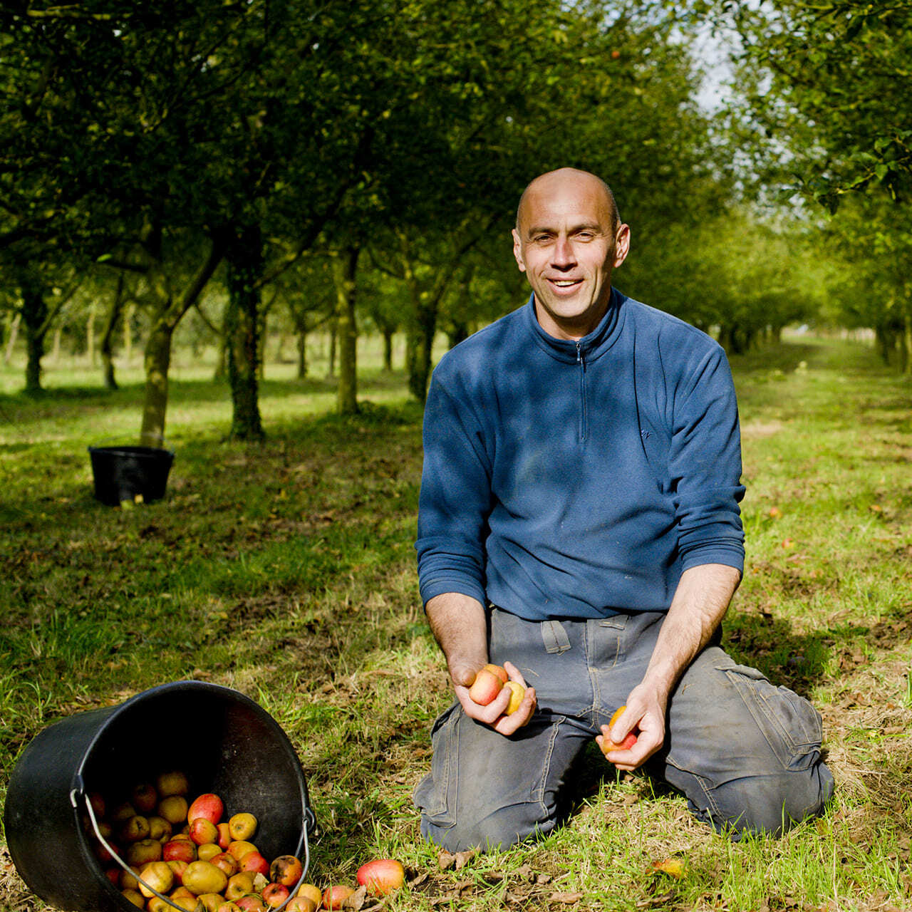 ワインガルトナー 交響曲第1～6番＆管弦楽作品集 CD6枚セット 希少
