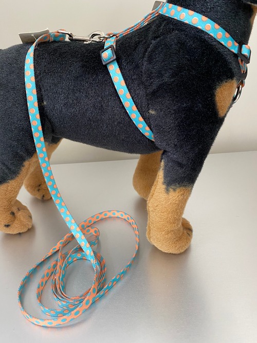 ブルー/メロン水玉  ロマンハーネス＋リードセット XSサイズ - Yellow Dog Design