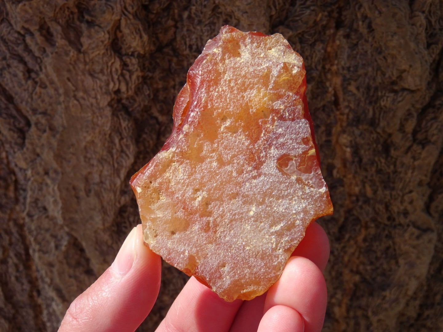 玉川瑪瑙（2） | 虹石屋