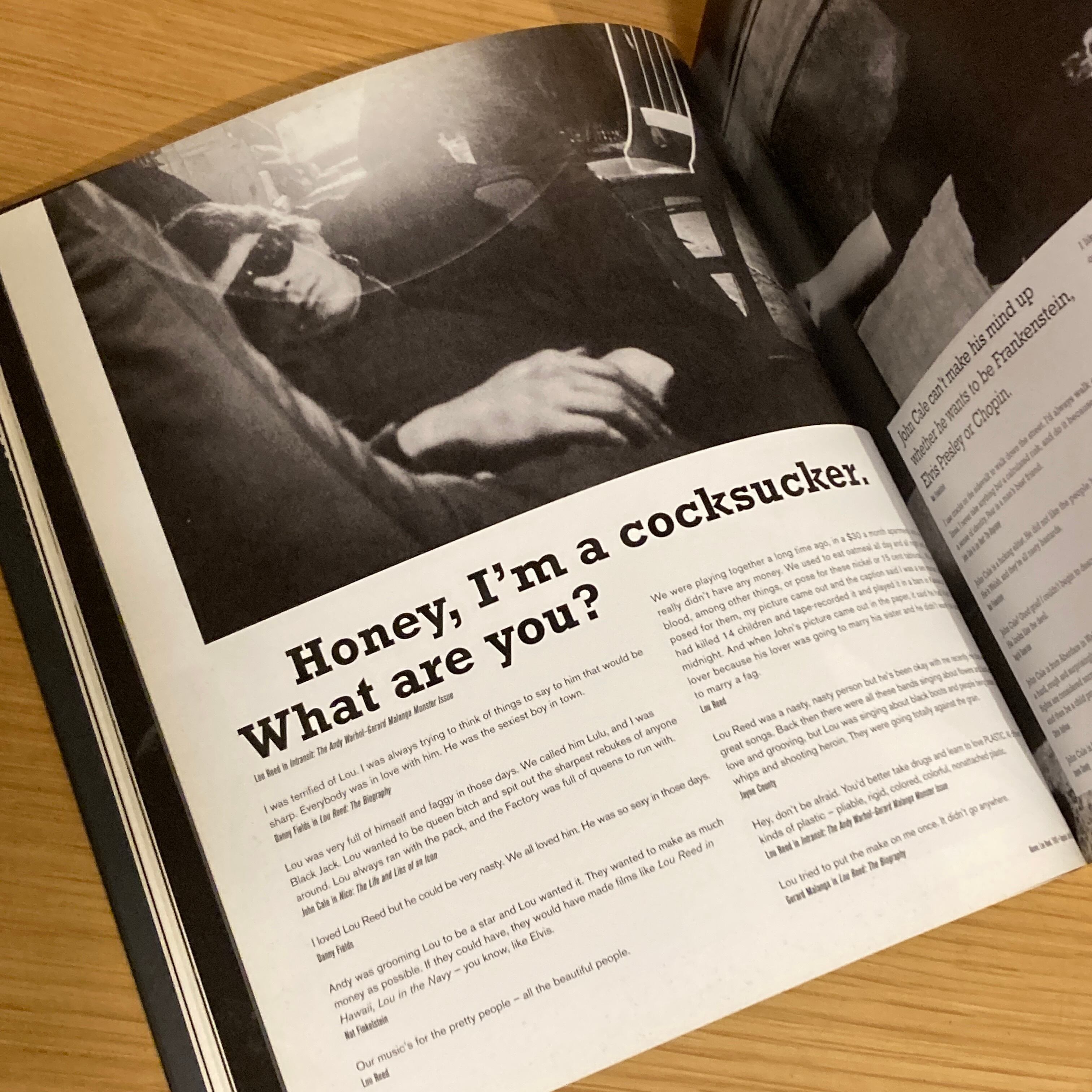 PUNK. A LIFE APART / Stephen Colegrave, Chris Sullivan | 百年