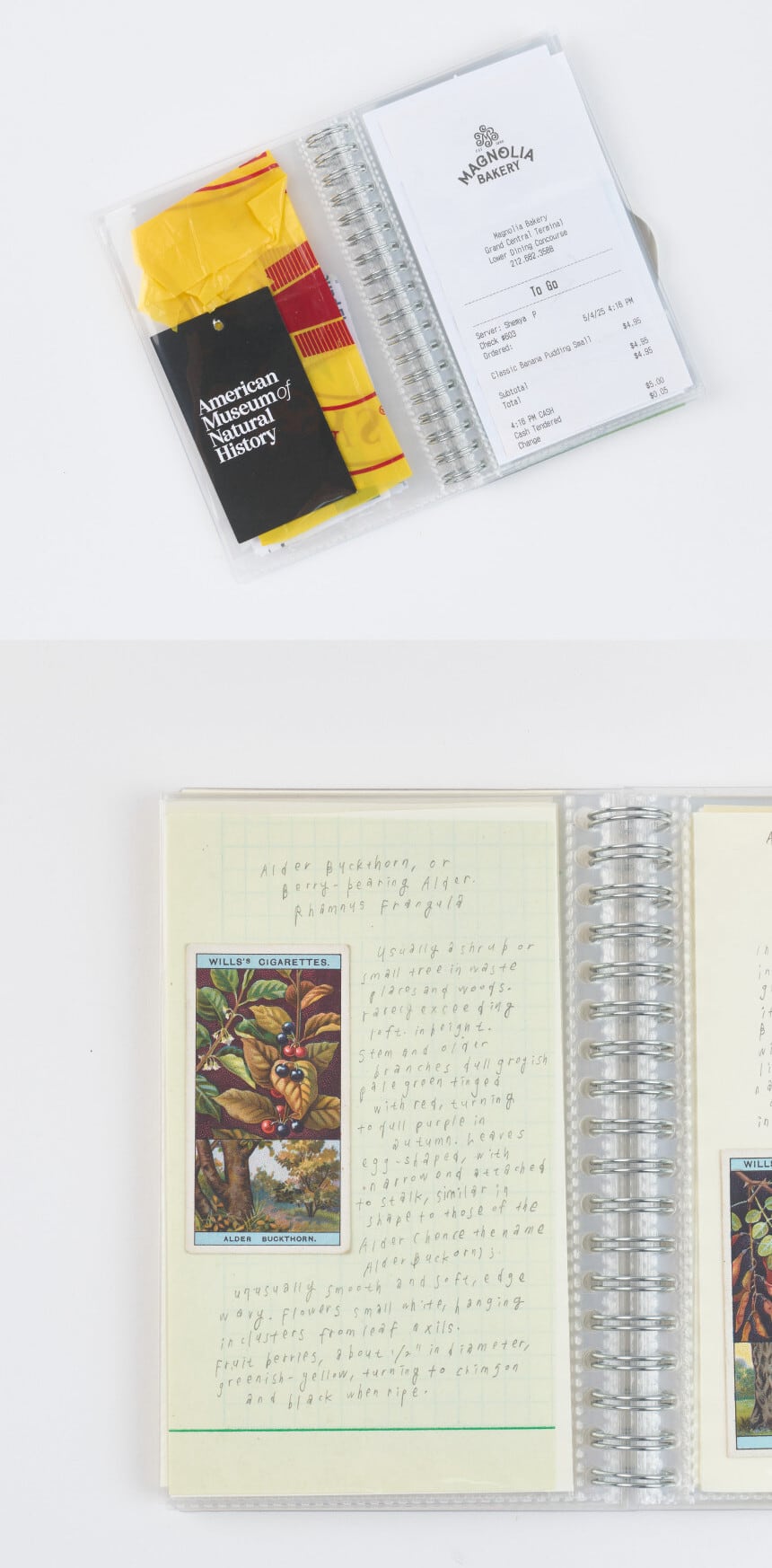 analogue keeper] Collecting book | 韓国文具 it-tta