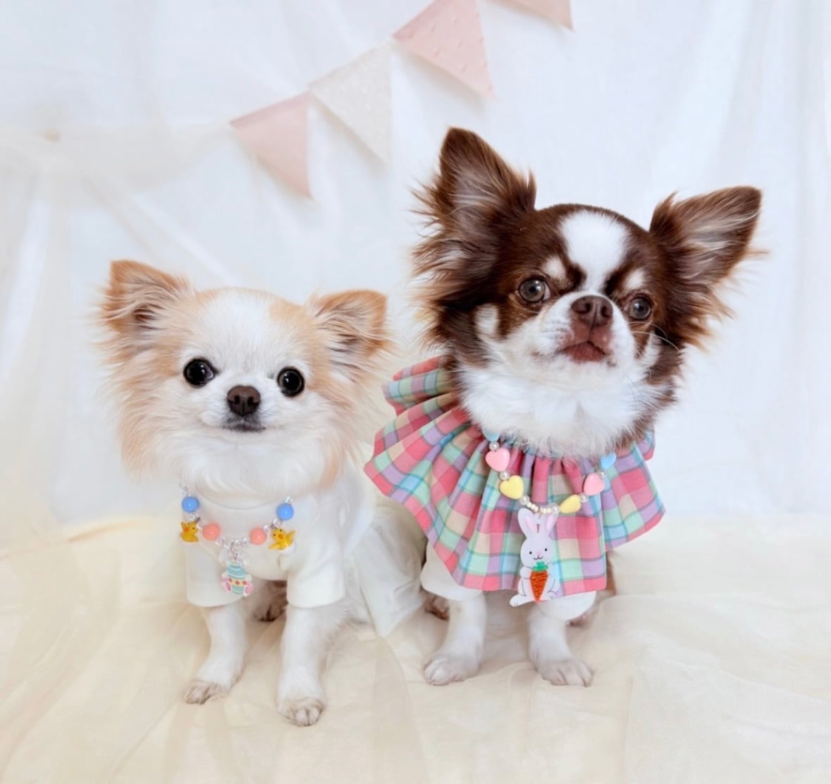 パステルイースターセット