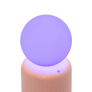 Skittle Lamp（Pink）/ スキットルランプ