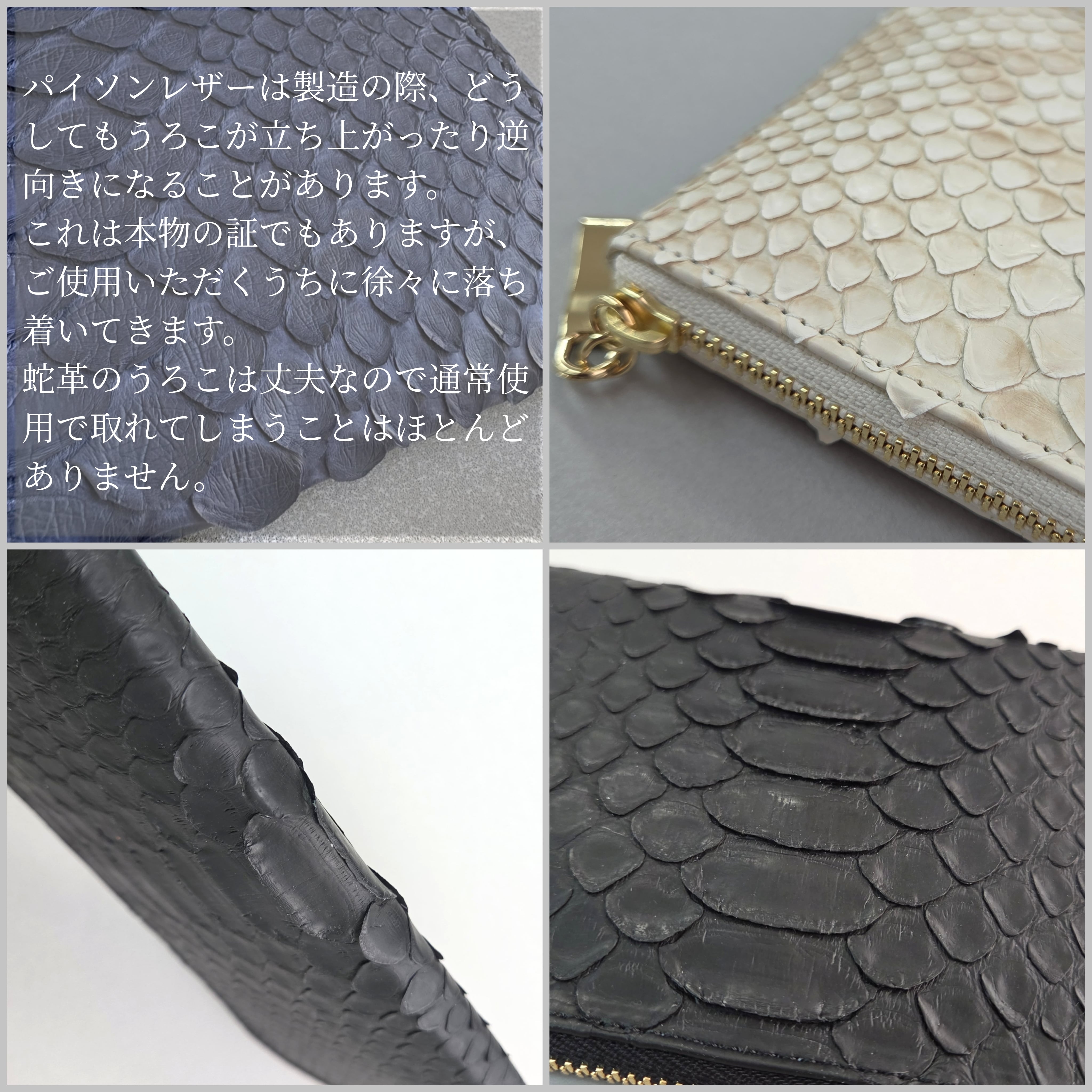 魅惑のパイソンレザー◇スリムで軽いミニ財布◇カード入れは10か所