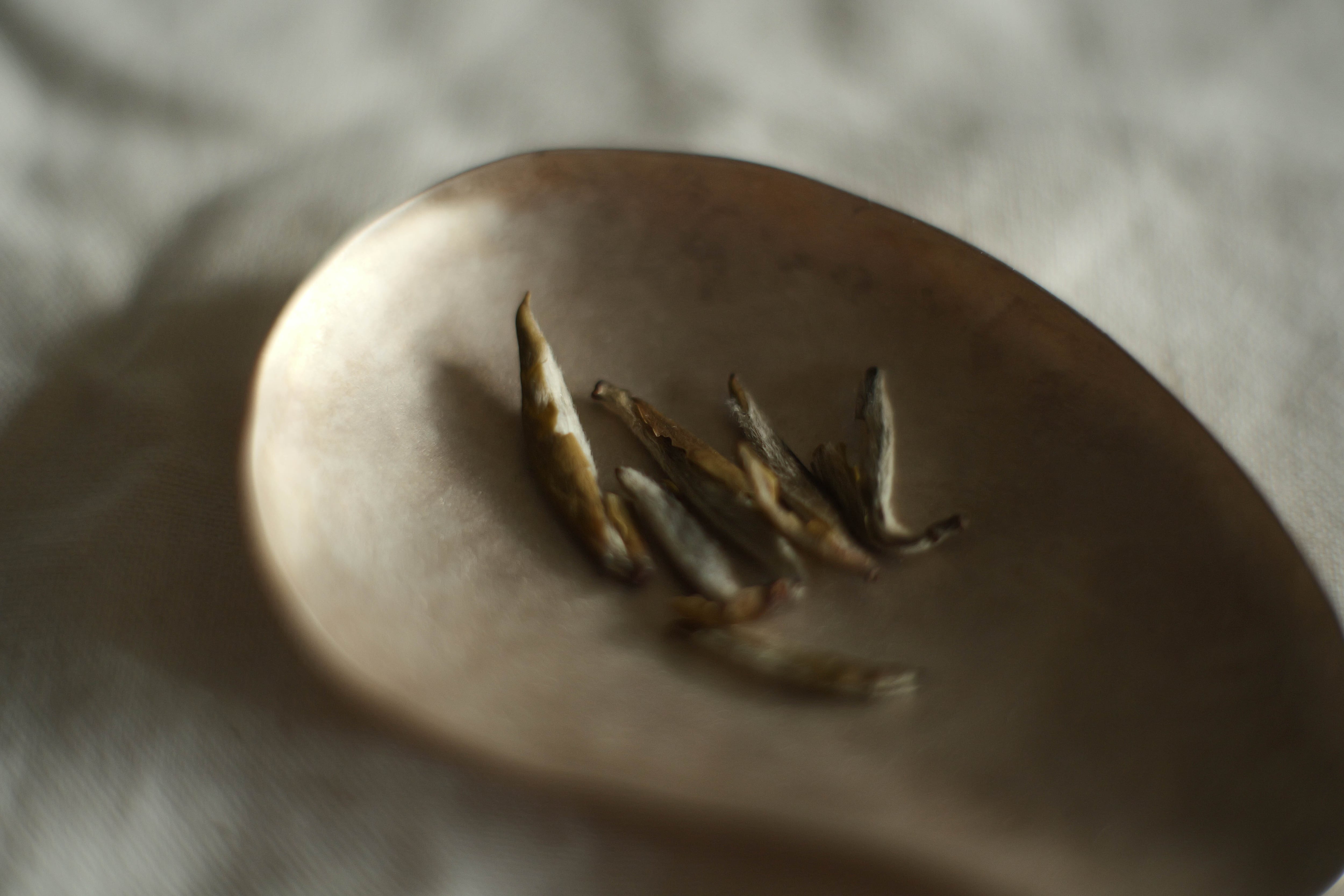 九窨針王・福州産超高級ジャスミン茶 50g (2024年産) | 北白川糕糰店