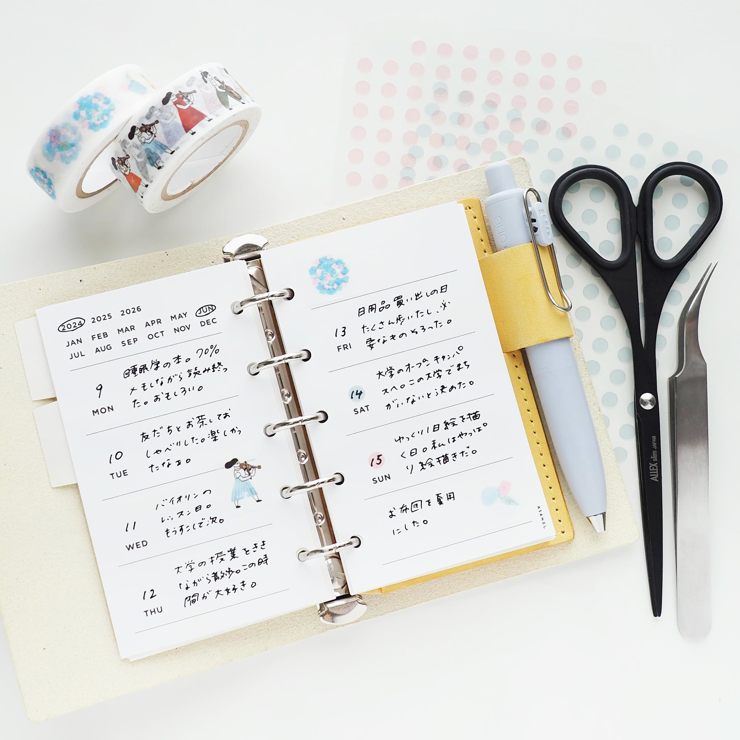 M5 ] WEEKLY【穴有】・トイリフィル | ASANEL