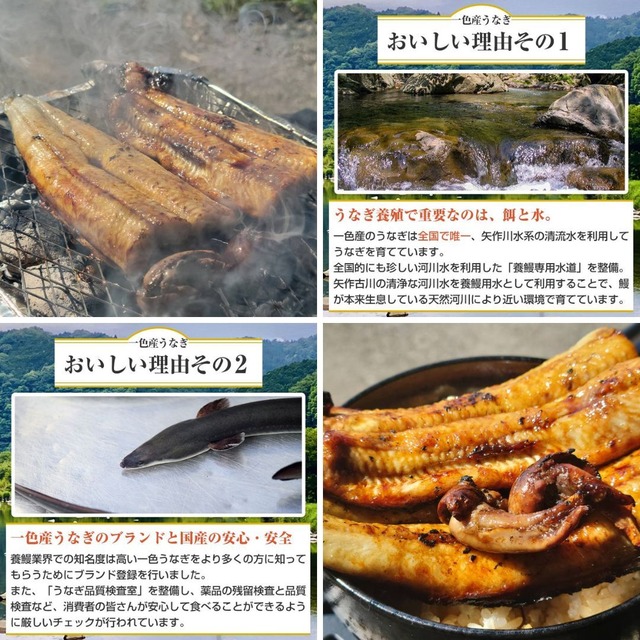 生で食べられる！イワナ/1㎏台