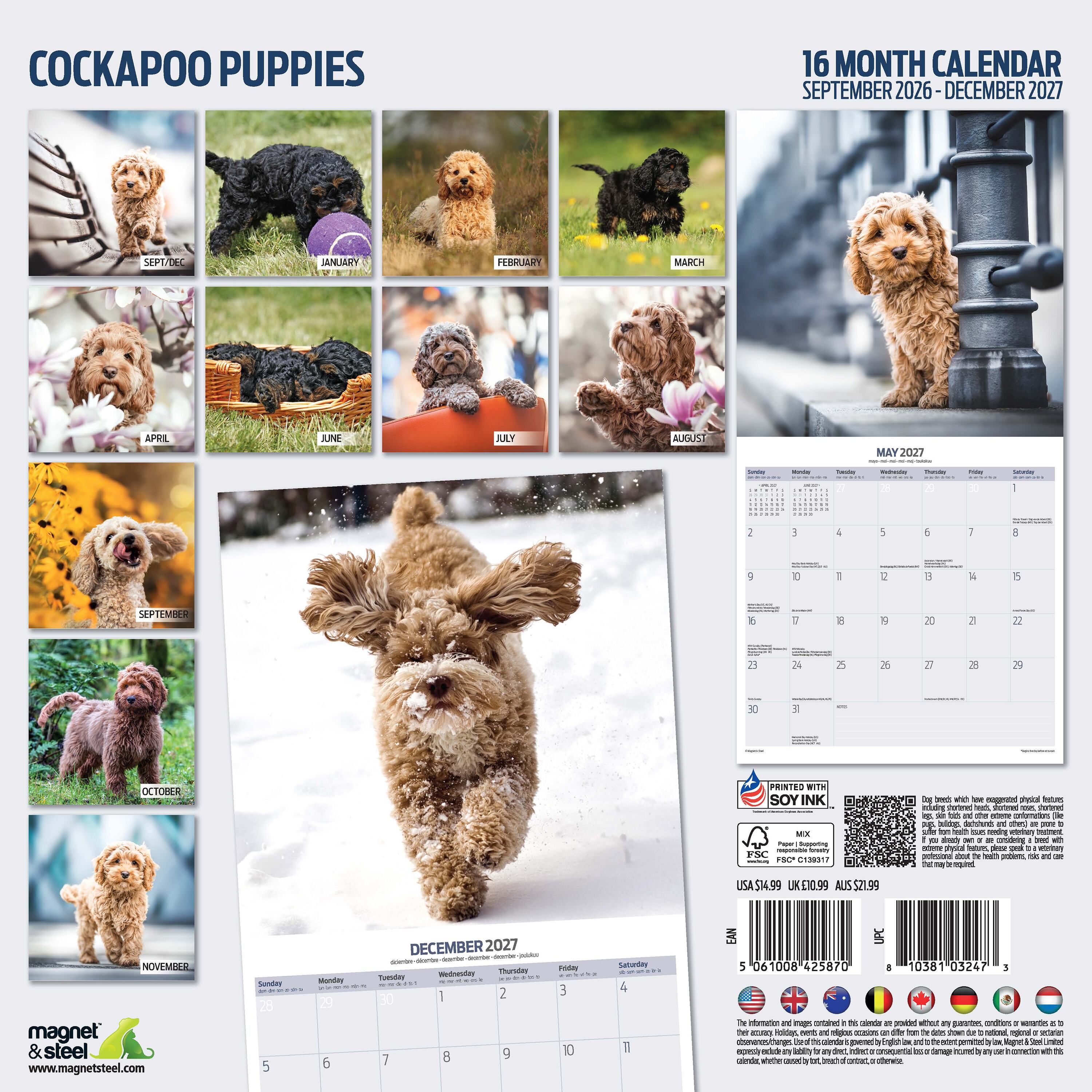 【2027年版】英国製犬種カレンダー【コッカプー パピー】Traditional 2027年版