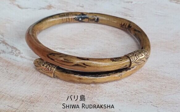 S様専用ページ(訳アリカウカガネーシャ) | Shiwa Rudraksha