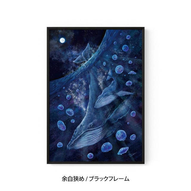 A1｜月海月鯨（げっかいげつげい）（フレームあり）
