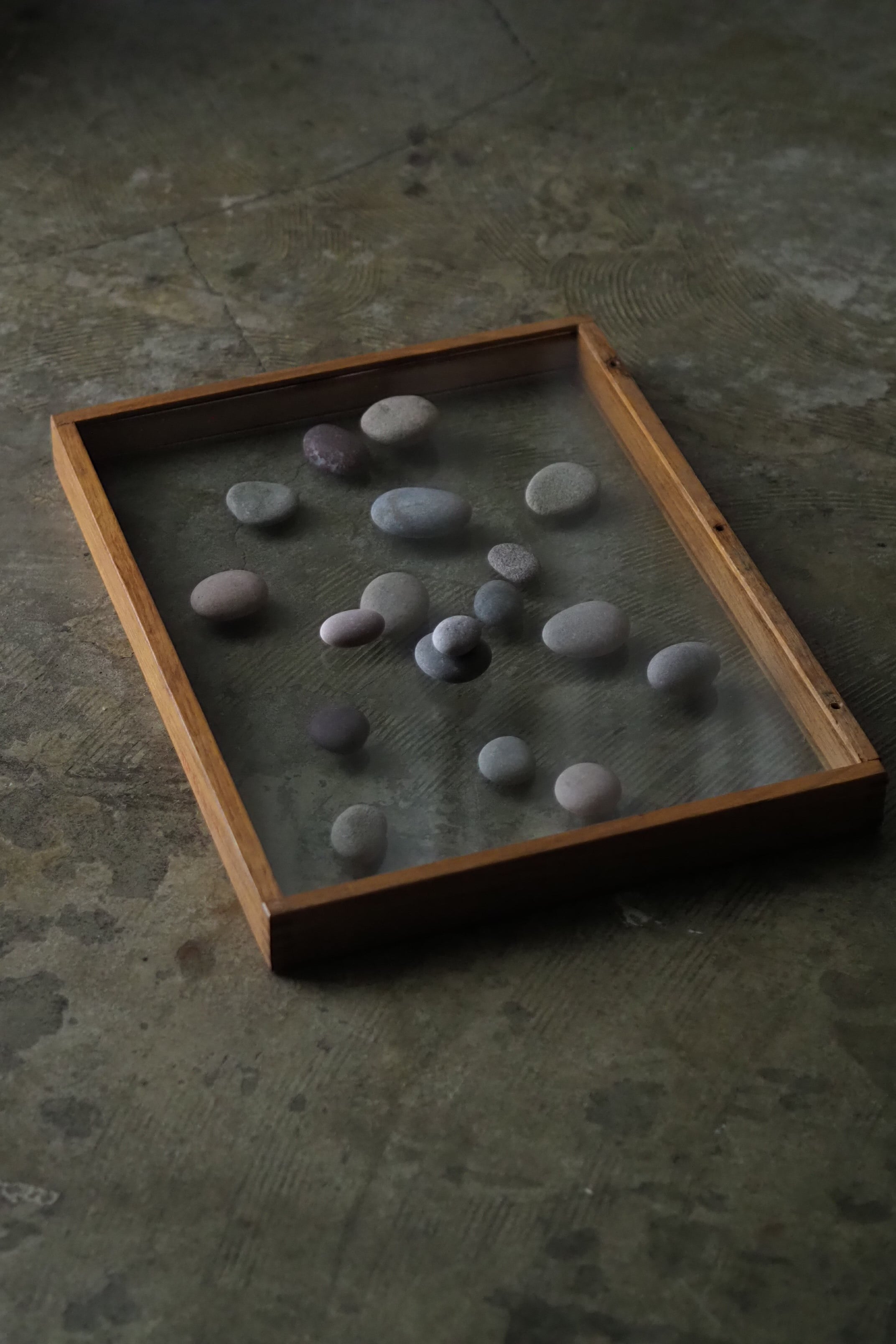 ガラス標本ケース-vintage glass case | アンティーク.ヴィンテージ
