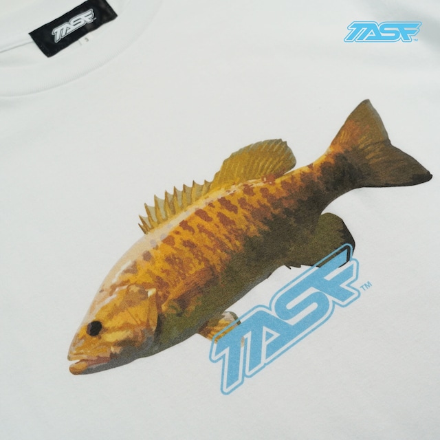TASF / スモールマウスTee / White
